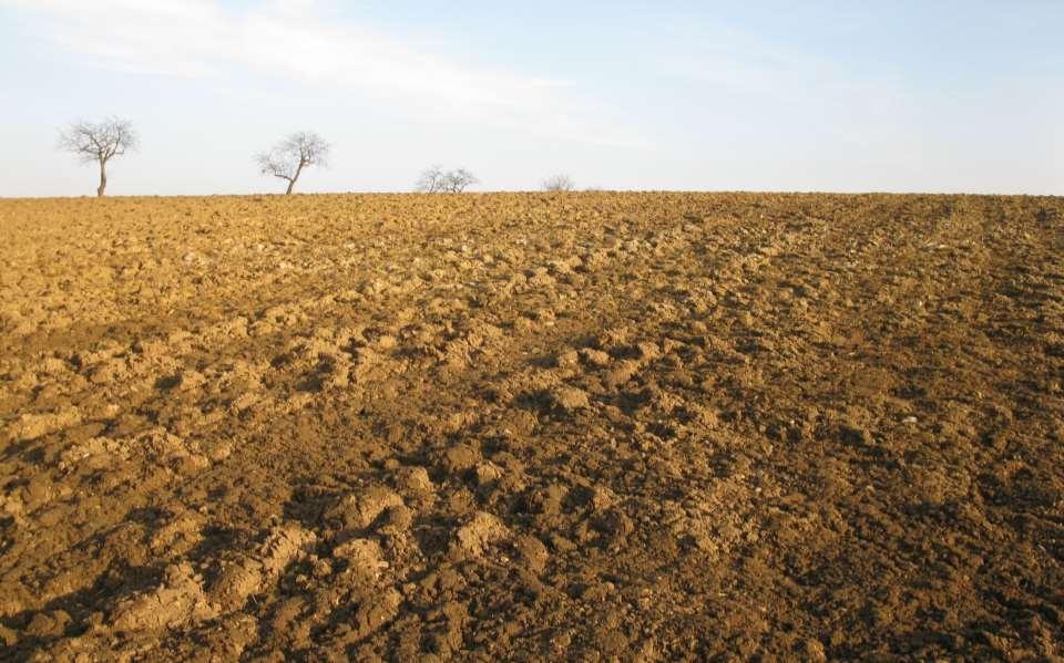 Erosion and loss of biodiversity in agricultural landscapes Northern and Eastern Germany are