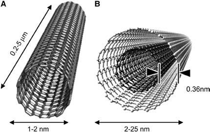 International Journal of Scientific & Engineering Research, Volume 4, Issue 12, December-2013 1317 Fig.2: Structure of Nanotubes Carbon Nanotubes are now being prepared for use in displays.