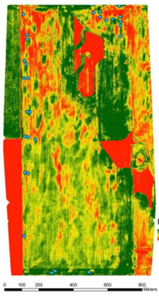 Ask crop adviser to soil test differently than normal 1. Scout or use aerial maps to locate healthy and unhealthy areas 2. field ph test, use soil/water slurry of top 3.
