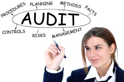 Utilizing Audit Guidelines Do you have written internal practice guidelines for your audits?