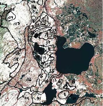 Habitat inventories in Metsähallitus LUOTI-project In 1996-1999 Lapland s most northern protected and wilderness areas were mapped in LUOTI-project.