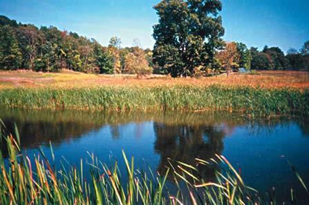 water quality: variety of vegetation reduces erosion and