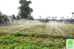Spray Irrigation Kit