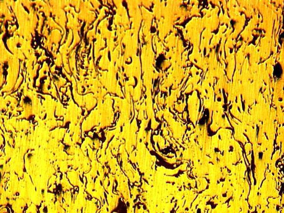 Optical photomicrograph of sample D coated at 600A shows the characteristic microstructure of TBCs with voids and uncoated areas. There is satisfactory amount of inter lamellar contacts present fig.
