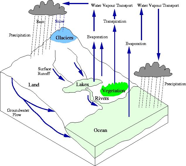 hydrological cycle http://www.env.leeds.ac.