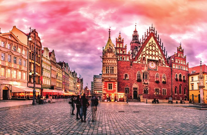Almost every afternoon and evening we deliver a wide range of activities. From City sightseeing tours, sport activities to all day trips outside the City of Wrocław.