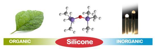 Fascinating Silicone The missing link