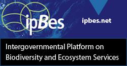 IPBES Intergovernmental Platform on Biodiversity and Ecosystem Services IPCC-like mechanism for biodiversity and ecosystem services The scientific community plays a major role in all aspects of the
