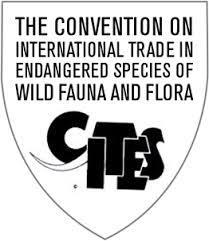 fair and legal trade of forest products including but not limited to the ITTA (International Tropical Timber Trade Agreement), CITES (Convention On