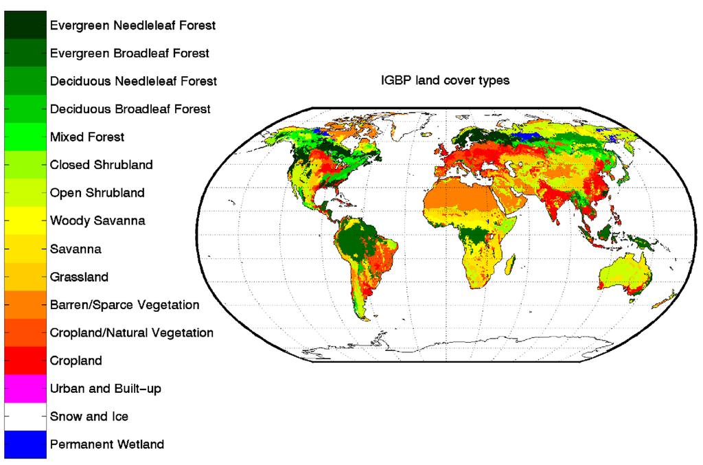 Biome Representation Of Land Cover Biomes determine: Plant physiology