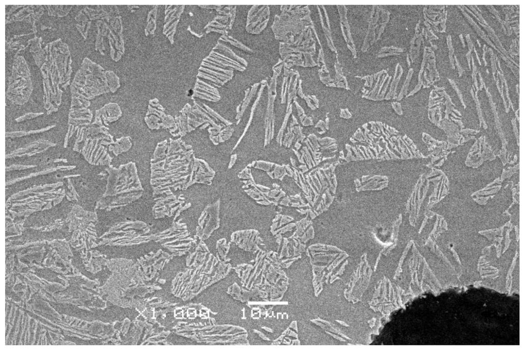 Fig. 6. Microstructure of quenched ductile iron using variant I (tγ= C, tpi= C, τpi=64).