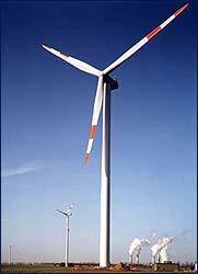 Wind & Biomass <
