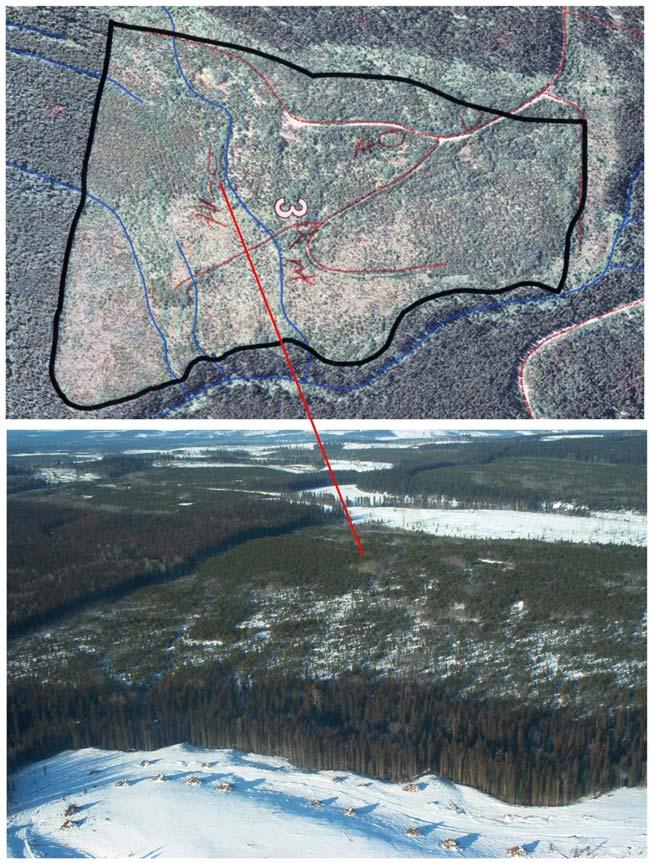 Brush areas were identified through file review, GENUS review, GIS attribute intersections, ocular assessment of air photos / satellite imagery, and unsupervised classifications.