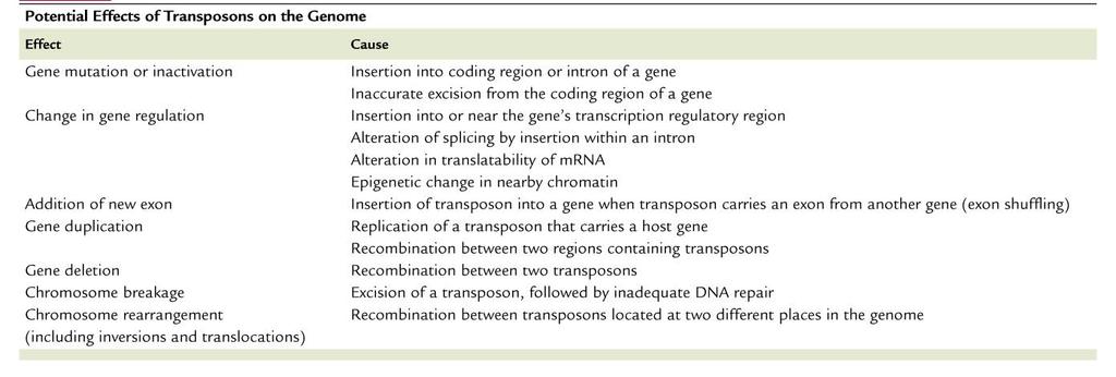 Transposons Create Mutations and