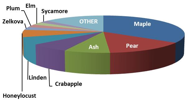 from Most to Least Commonly Seen Percent Maple 34.44 Pear 14.41 Ash 8.