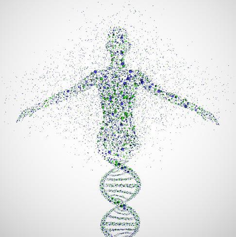 HUMAN GENOME PROJECT Started in 1990, the Human Genome Project was started with the goal of determining the sequence
