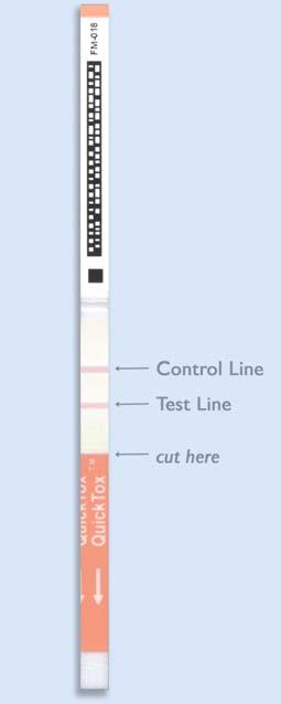 Page 3 of 5 2. Place the strip into the reaction vial containing the Buffer and diluted sample extract (Testing: vial #2). The arrow tape on the end of the strip should point into the reaction vial.