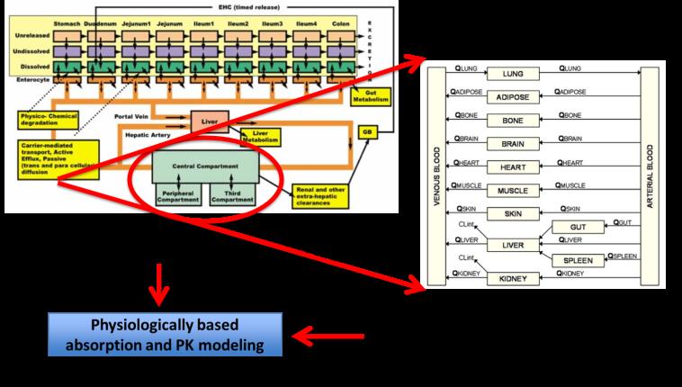 Virtual BE Based Safe Space Virtual BE study using physiologically based biopharmaceutics modeling (PBBM) approach to demonstrate bioequivalence between