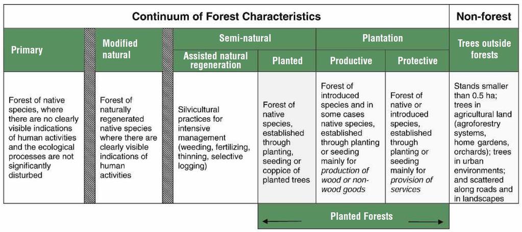 2. SYNOPSIS OF PLANTATIONS IN VIET NAM TO 2015 There has been a concerted program of reforestation and plantation development in Viet Nam with firm policies and measures successfully promoting