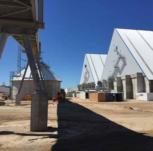 line and drying capacity. With the new Arauco mill and its increased capacity, we re investing in some capital and looking to increase our production by 50 percent, he said.