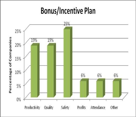 ADDITIONAL BENEFITS BONUS/INCENTIVE PLAN 44% of the companies provide a