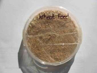 H 2 and VFAs from wastes and co-products by fermentation - examples: Wheat flour industry co-products: Low grade flour, variable amounts, 0-1,000 tonnes/week