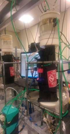 Dark Fermentation Apparatus Continuously fed bioreactor Four Litre