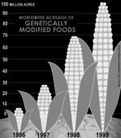 com/news/video/science_2/1112437465/science-nation-got-silk/ GMO World Grain Supplies Will Barely Meet