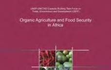 Yields of organic and Agro-ecological agriculture in Africa Region Number of Number of Number of Number of Average countries
