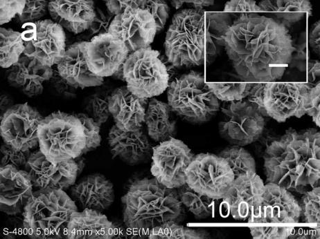 Fig. S4 SEM pictures of the samples prepared from