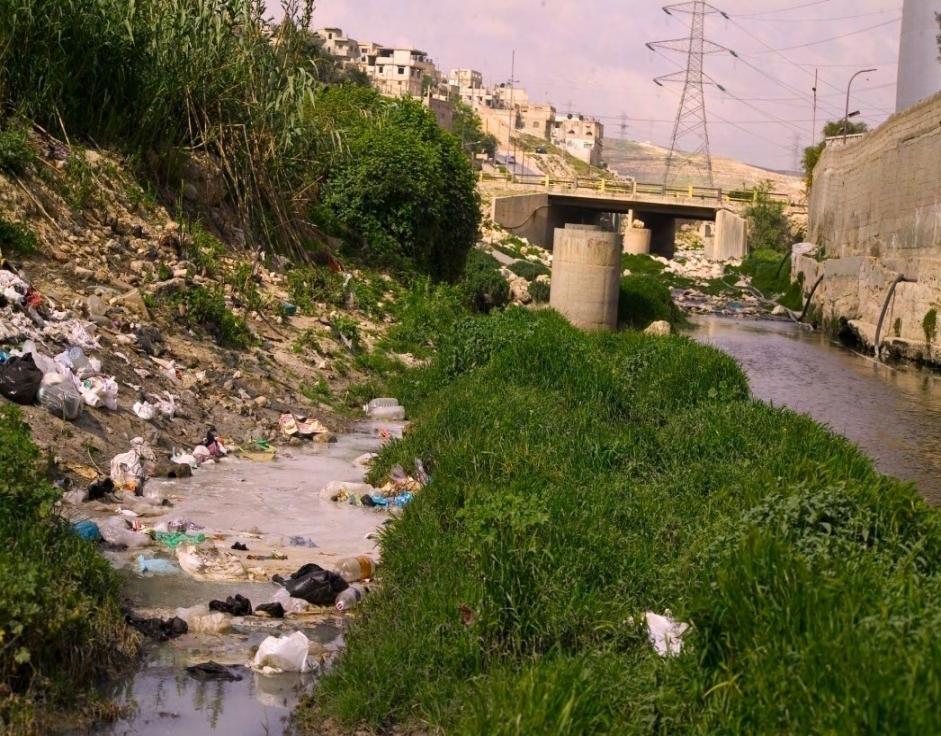 Three main problems are associated with Zarqa River: 1 Decrease of Natural Flow.