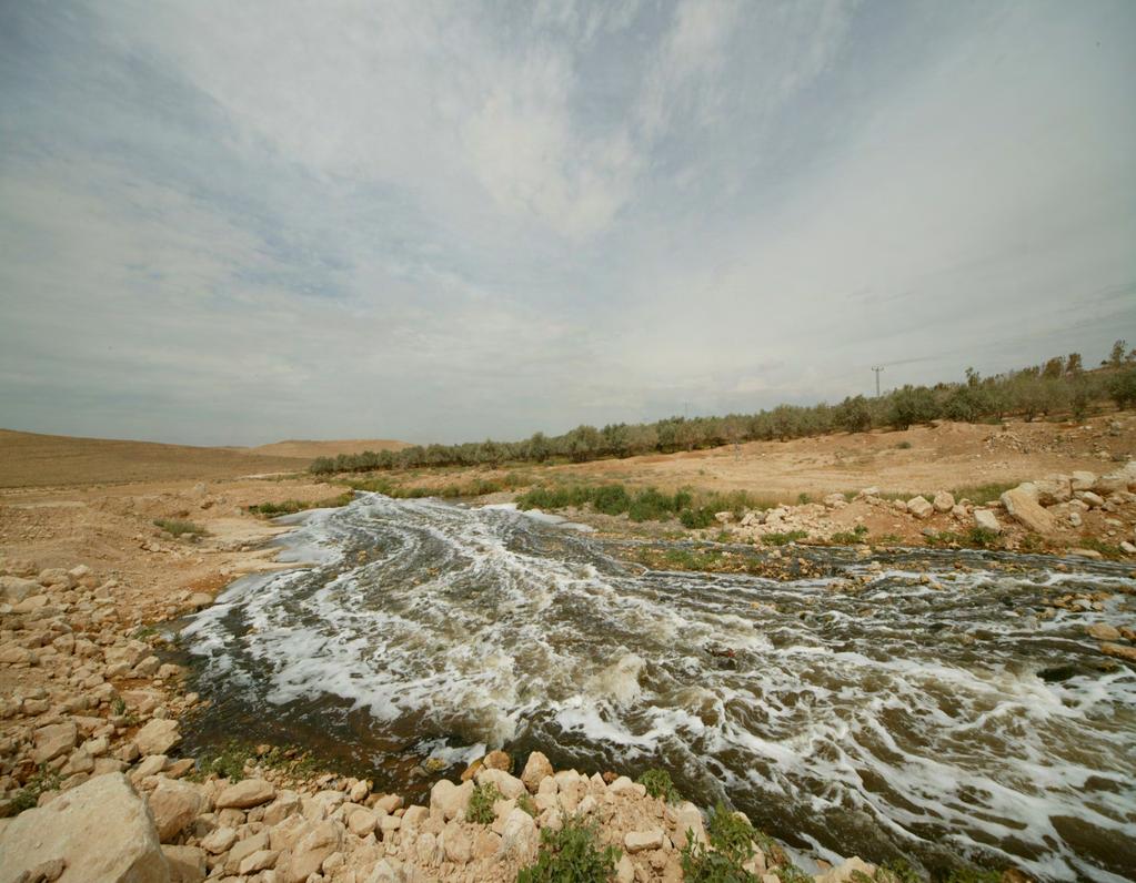 Zarqa River Restoration