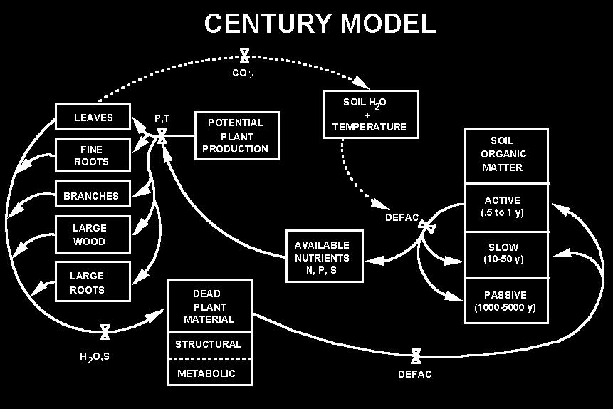Physiologically based models can also be a variant of distribution models Figure taken from Kearney and Porter 2009 Ecology Letters Ecological models Overall flow diagram for the CENTURY model.