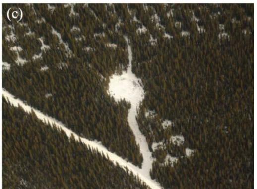 Desynchronization of snowmelt: aspect Effects of gap thinning treatments on desynchronization of snowmelt in Rocky Mountain basin (Marmot Cr), southwestern Alberta Forest cover synchronizes melt,