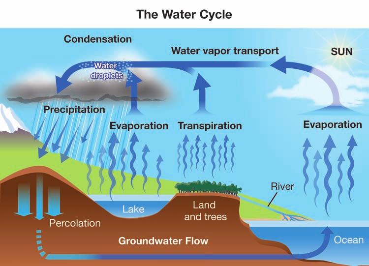 Condensation Precipitation Following the water cycle Condensation occurs when water in its gaseous phase loses energy. This tends to happen high in the atmosphere as the molecules cool down.