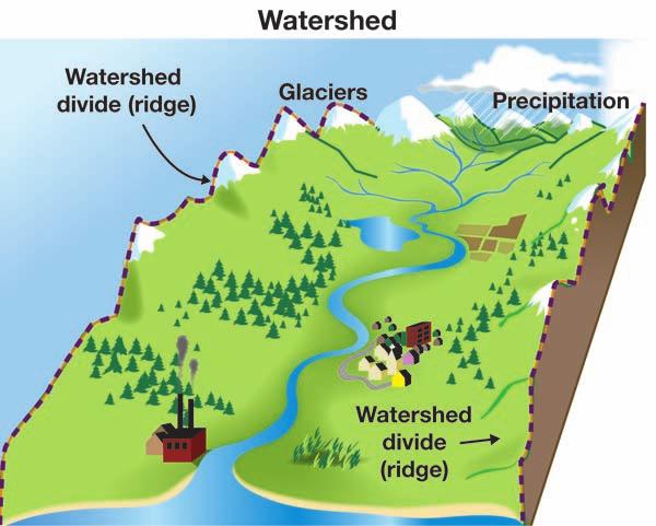 Watersheds What is a watershed? Watersheds Natural resources A watershed is an area of land that catches all precipitation and surface runoff.