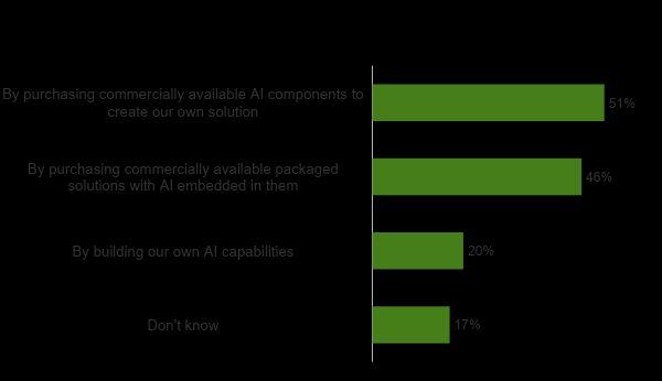 How are enterprises accessing AI capabilities? What is your AI capabilities strategy?