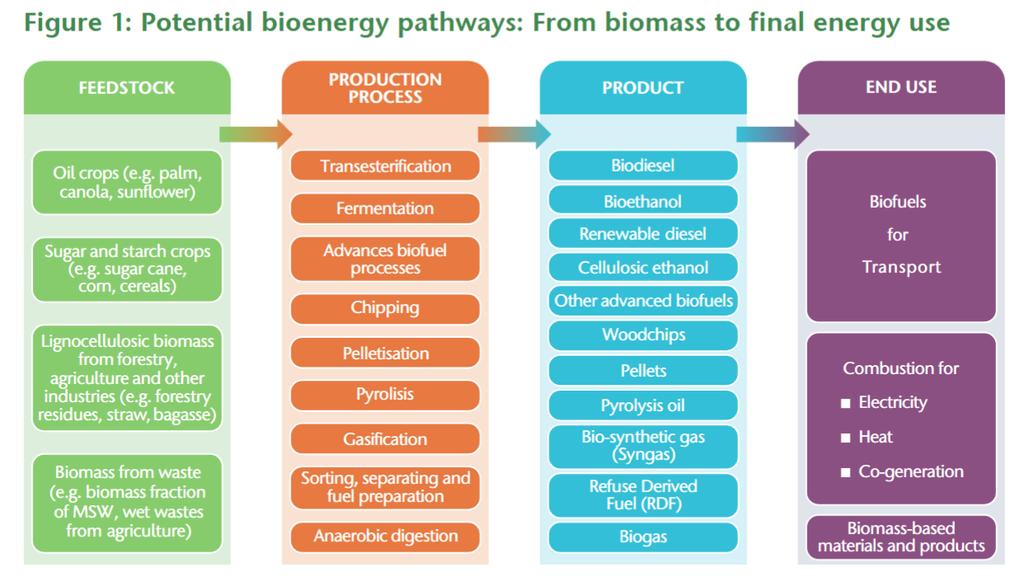 Definition and use of bioenergy Use within the industrial sector*: Mainly solid and gaseous biofuels More frequent in sectors producing bio waste (e.g. pulp and paper) but common practice in other sectors as well (e.