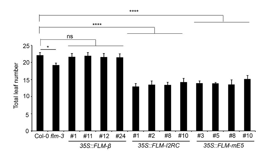 Supplementary Figure 8. NMD-target transcripts confer early flowering upon overexpression. Confirmation of the overexpression phenotype in T2 lines in the Col-0 background at 27 ºC short days.