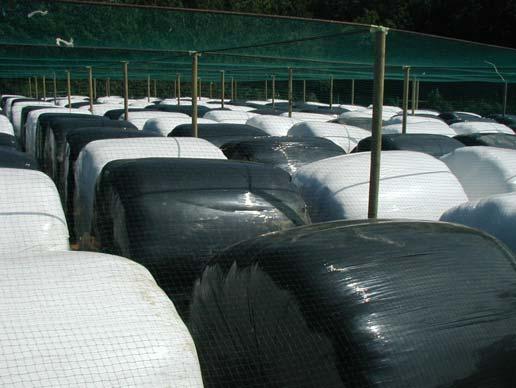 Effect of Film-Wrap Colour on Silage Quality It is claimed that light coloured film improves silage quality compared with black film. Is this true?