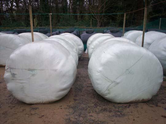 Bales were handled and stored carefully to avoid any physical damage to film Film seal was excellent in the pre-stretched film The results indicate that 6 layers of pre-stretched film performed as