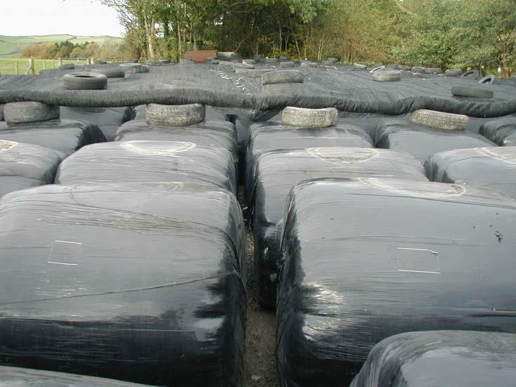 Effect of film layering on Silage quality Increasing the number of film layers applied will increase film seal,