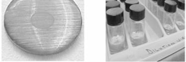 7 (left): Dried inoculum on carrier covered with 50 µl of test substance or control fluid Figure 8 (right): Labelled dilutions vials with diluent; tubes may be