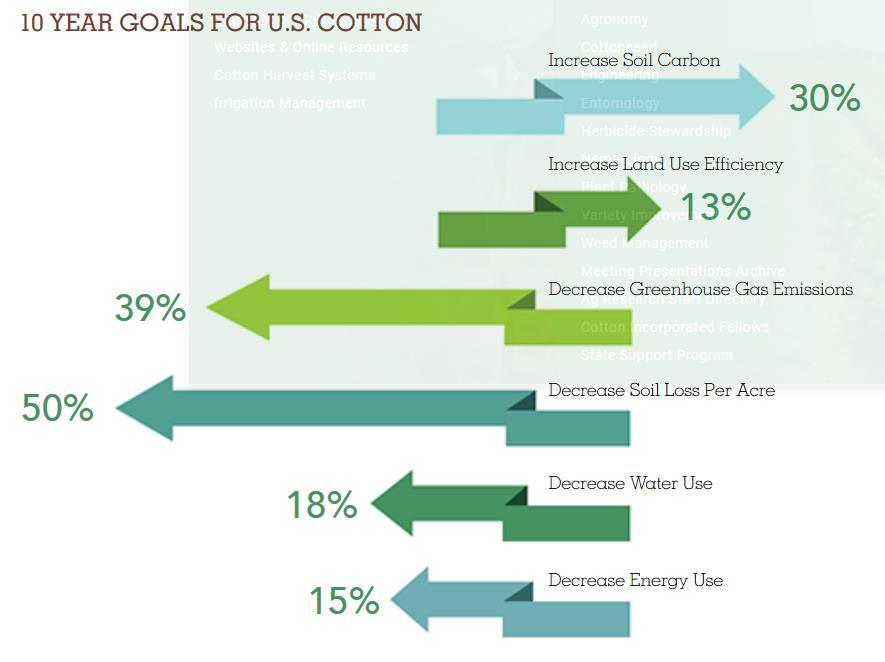 Cotton Case Study Delivering on Commitments Cotton
