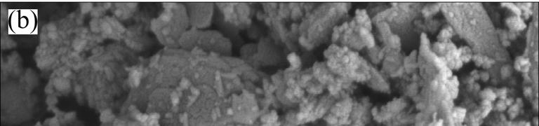 The SEM images of the residual particles, which are from the pure gibbsite in dissolution process, are shown in Fig. 9. As shown in Fig. 7, the sheet structure, which belongs to gibbsite, disappears.