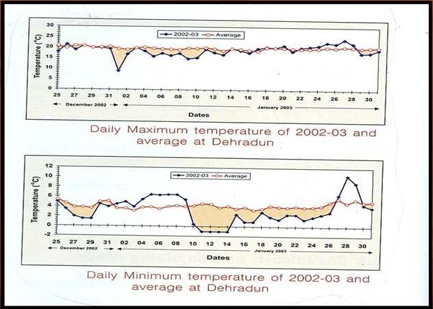 Cold Wave of 2002-03 :