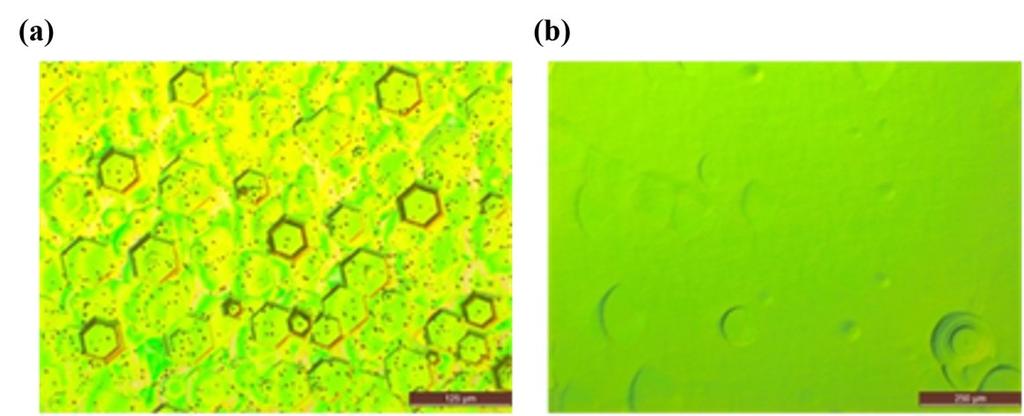 Chapter 4. Polarity & Microstructural Evolution of HT GaN 77 Fig. 4.21 shows the Nomarski optical microscopy images of HT GaN layers grown under identical conditions except the LT GaN annealing time (column B4 of Table 4.