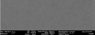 00001 0 2 4 6 8 10 12 14 16 Process time [min] Typical carbon coating process data for 10nm and 100nm thick films FE-SEM images of