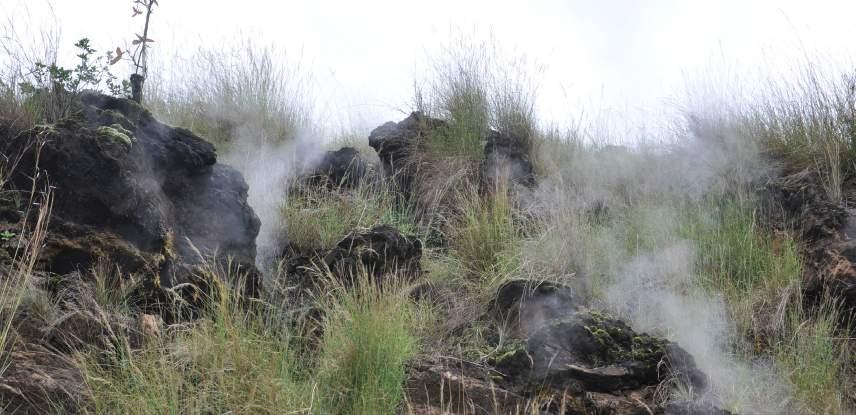 40 Image Courtesy: Geothermal Development Company 300MW GEOTHERMAL PLANT AT SUSWA Promoter: articipation: Private Sector Participation: Estimated Investment Cost: Location: The Greenfield electricity
