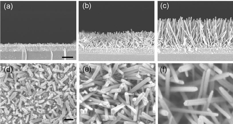 ZnO Nanorods as Electrode Growth time increases from left to right.